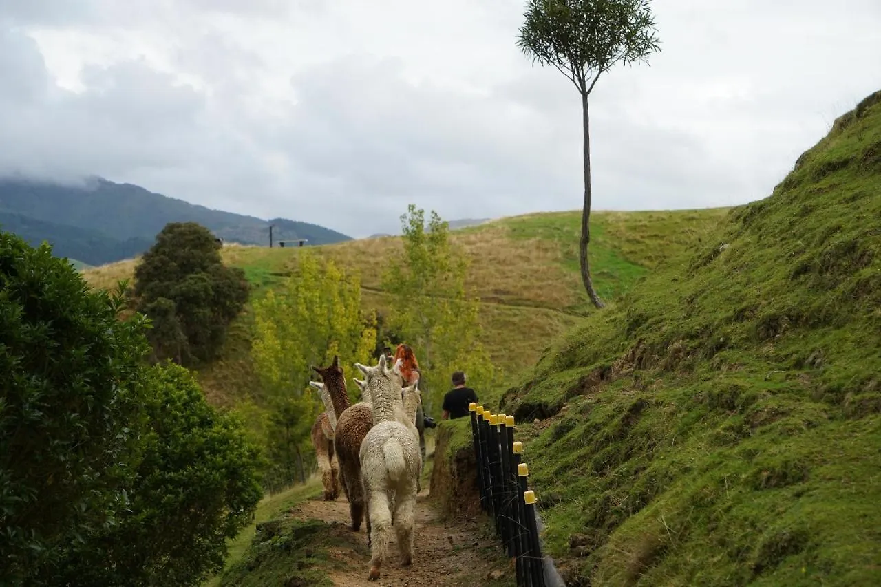 Luxury Stay, Alpaca Farm Paraparaumu Apartment